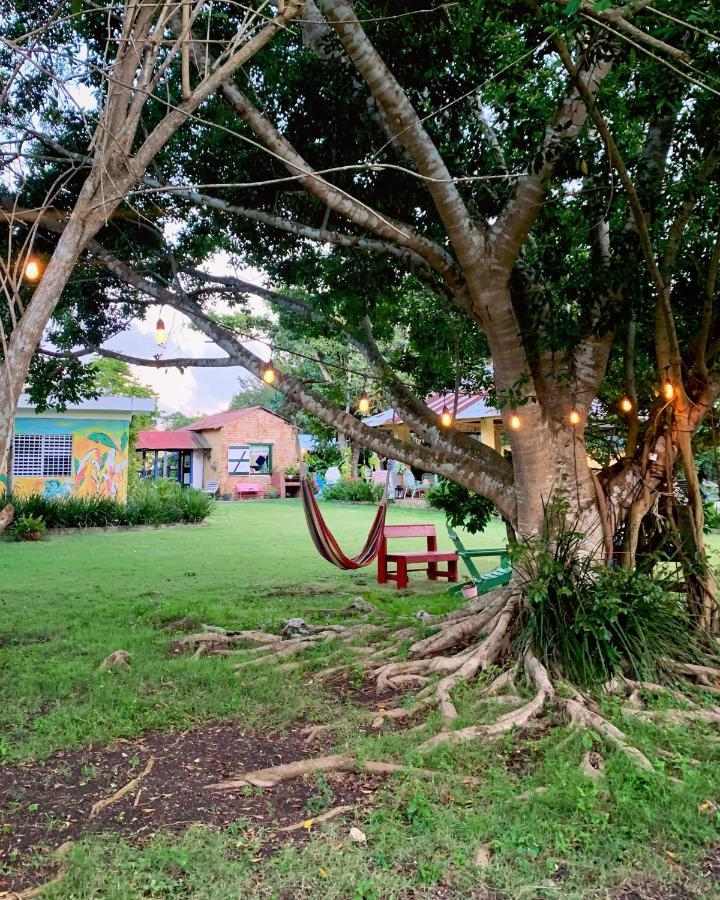Higuey Campito Loving B&B 외부 사진
