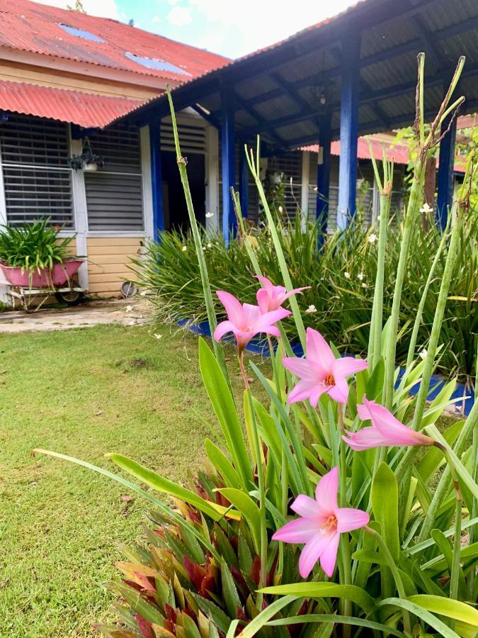 Higuey Campito Loving B&B 외부 사진