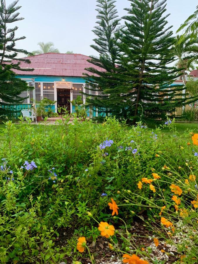 Higuey Campito Loving B&B 외부 사진