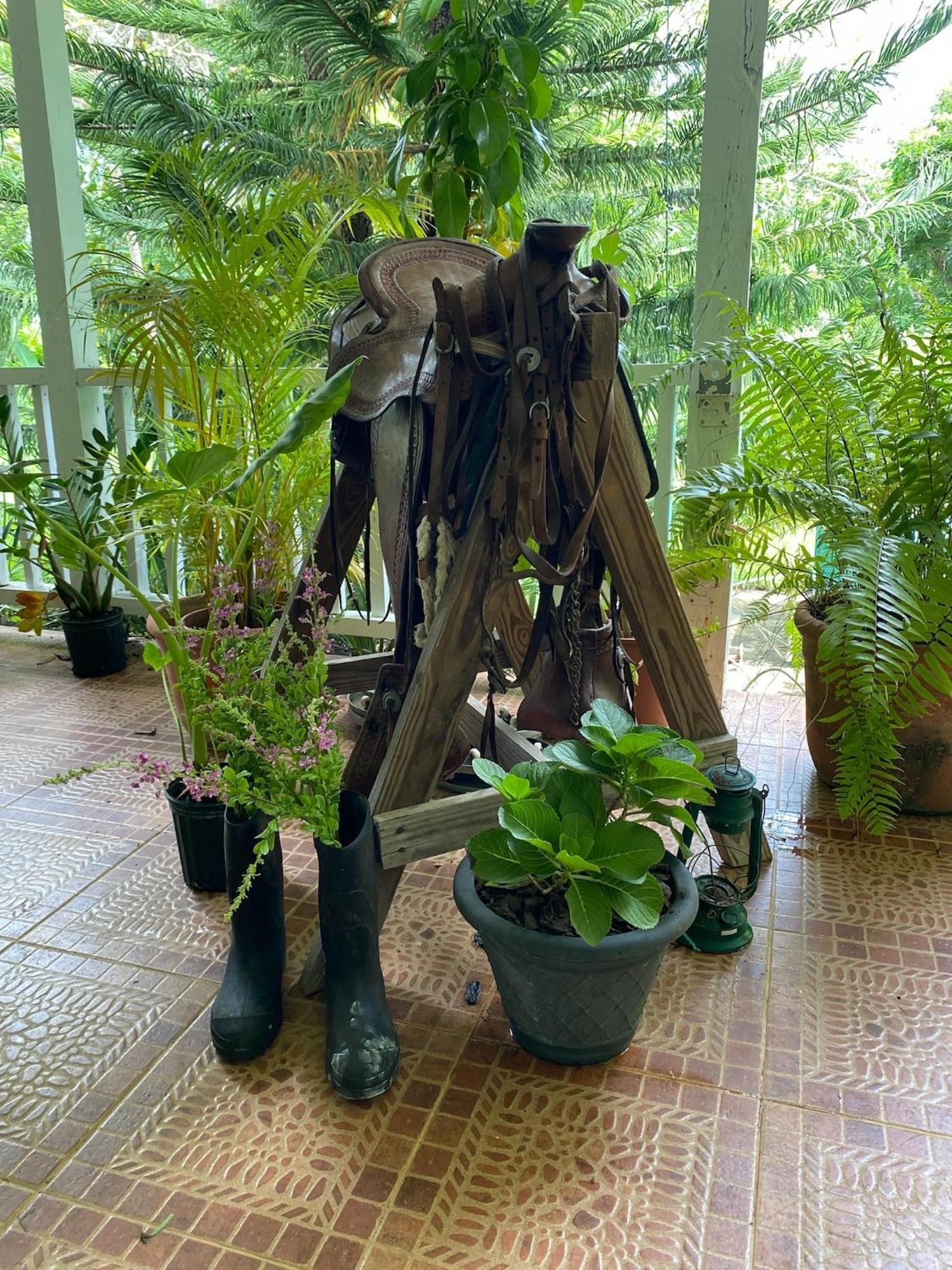 Higuey Campito Loving B&B 외부 사진