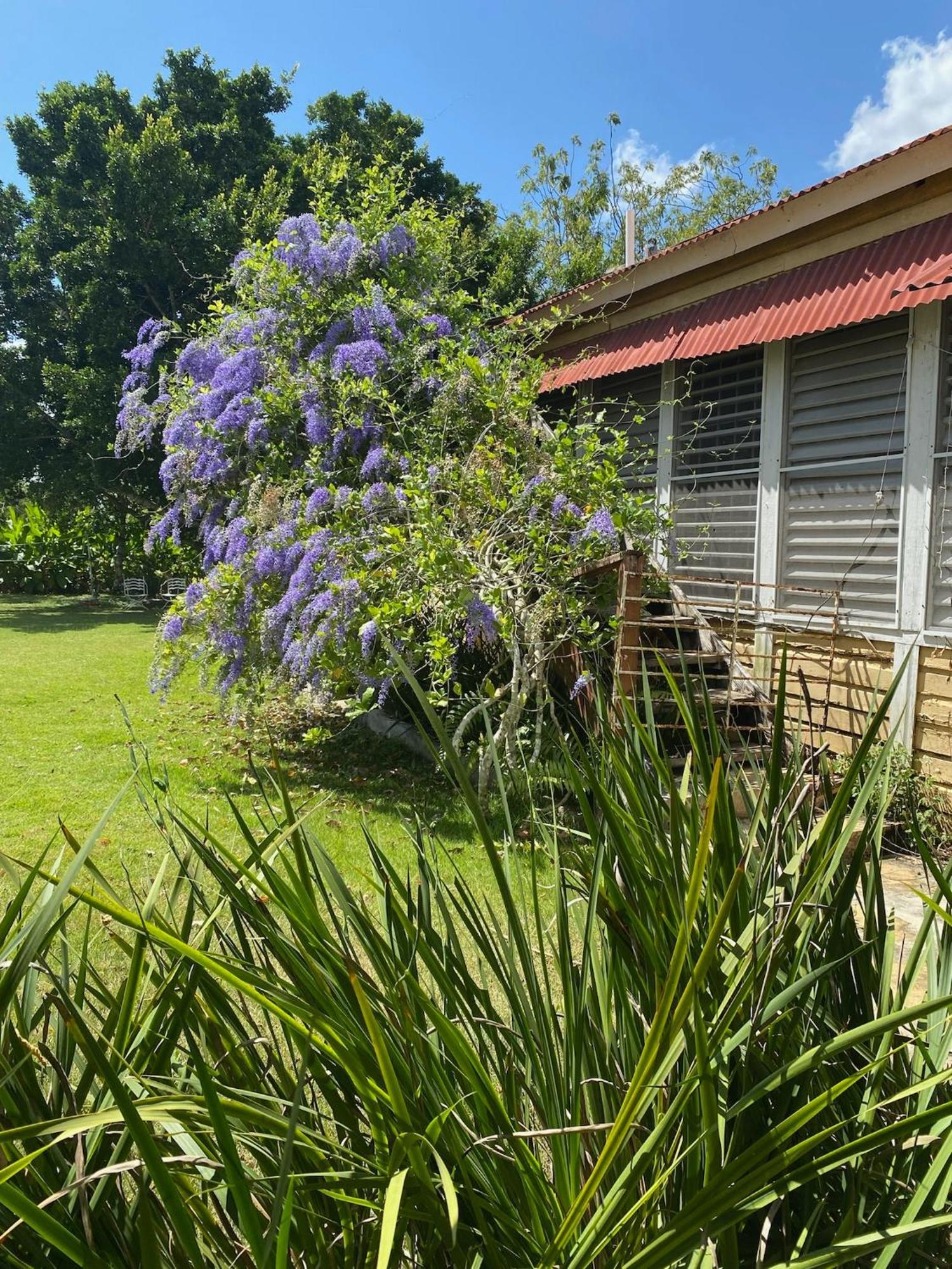 Higuey Campito Loving B&B 외부 사진