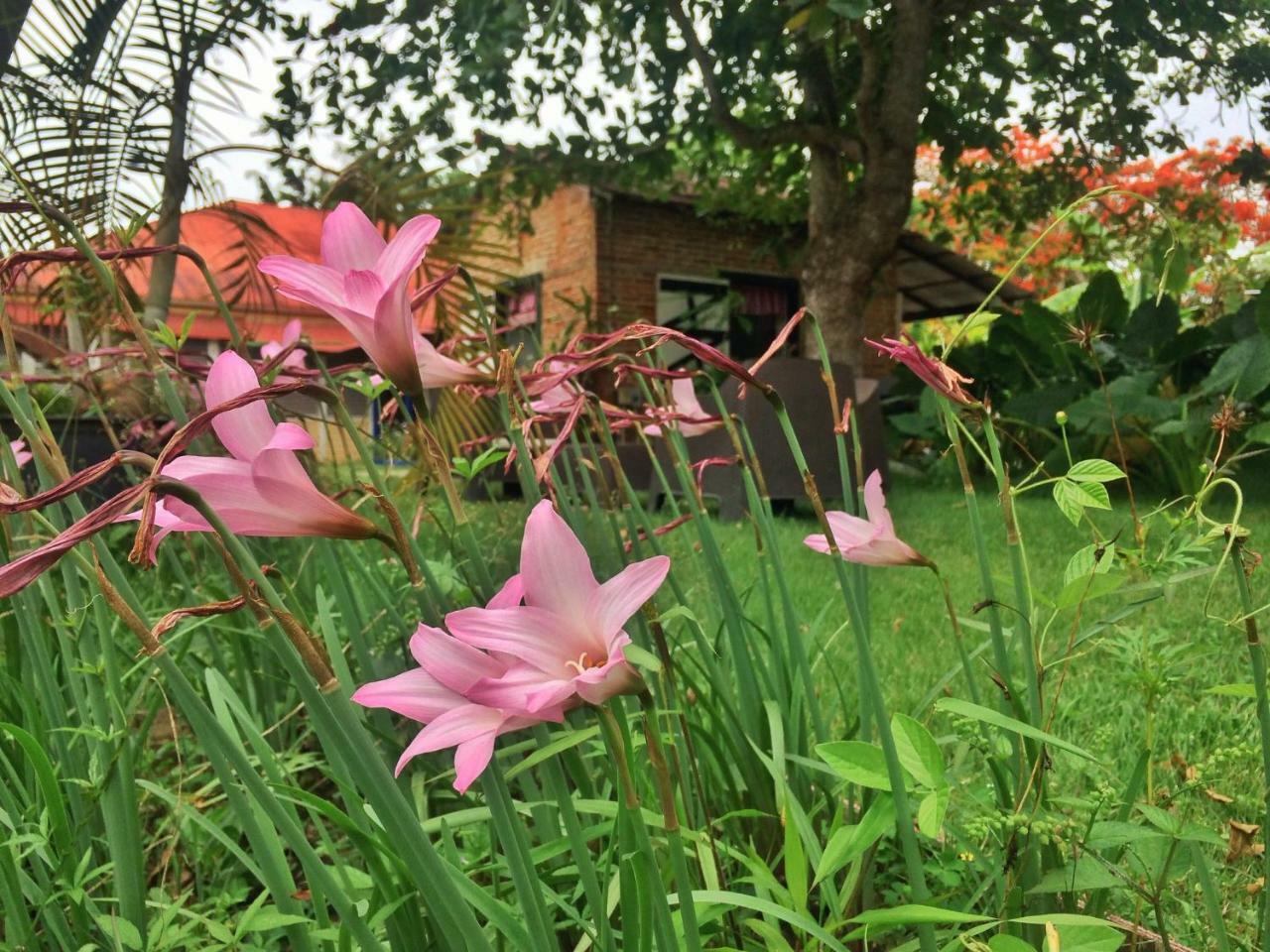 Higuey Campito Loving B&B 외부 사진